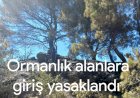 Ormanlık alanlara girişler yasaklandı