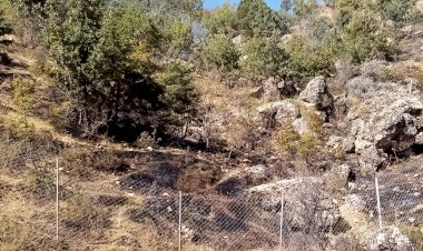 Gölbaşında ormanlık alanda çıkan örtü yangını söndürüldü