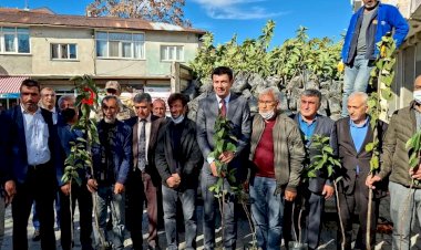 Gölbaşı'nda Hurma fidanı dağıtıldı