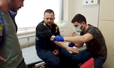 Elektrik dağıtım firmasının görevlisine köpekler saldırdı