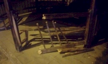 Şehir Magandaları parklara zarar veriyor