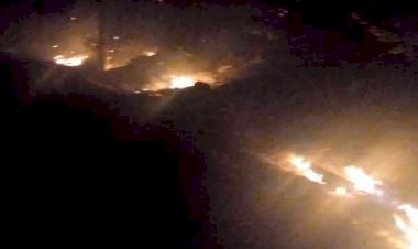 Orman yangınında 2 hektarlık alan yandı