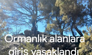 Ormanlık alanlara girişler yasaklandı
