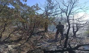 Adıyaman'daki orman yangını tamamen söndürüldü