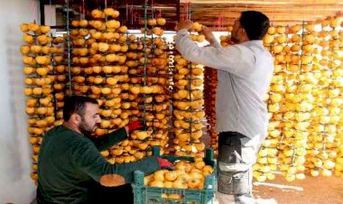 İplere dizilen altın sarısı hurmalar