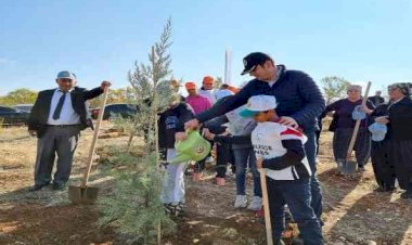 Gölbaşı ilçesinde fidanlar toprakla buluşturuldu