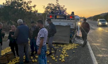 Elma yüklü kamyonet devrildi