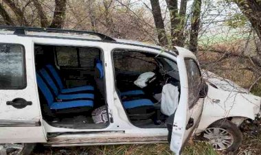 Hafif ticari araç şarampole yuvarlandı