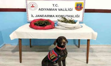 Jandarma uyuşturucu tacirlerine geçit vermiyor