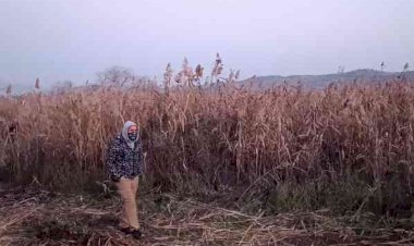 Adıyaman'da batan teknedeki 3 kişiden 2'si kayıp