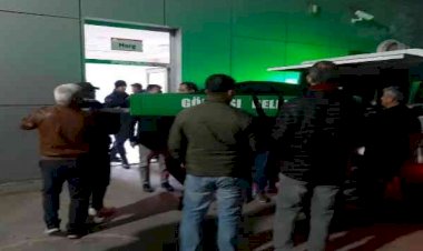 Ağaçtan düşen güvenlik korucusu hayatını kaybetti