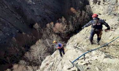 Kayalıklarda 5 gün boyunca mahsur kalan keçileri AFAD kurtardı