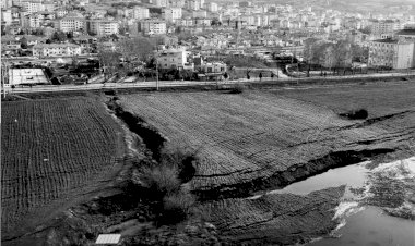 Vakitsiz bir üzüm bağının bozumudur, hepsi