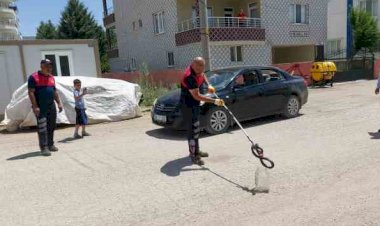 Evin bahçesine giren yılan yakalandı