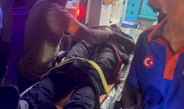 Otomobil şarampole devrildi