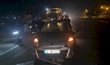 Otomobil eşeğe çarptı: 3 yaralı