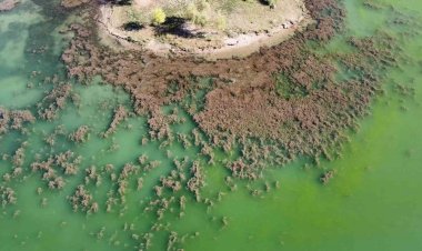 Gölbaşı Gölü’nde korkutan görüntü