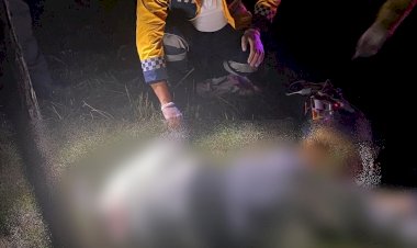 Aracını tamir eden tır şoförüne çarparak ölümüne neden olan sürücü yakalandı