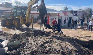 Banka müdürünün tayininin çıkması kurban kestirdi
