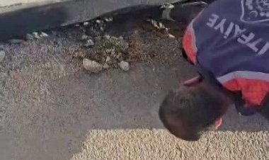 Konteyner altında kalan yavru köpek itfaiye tarafından kurtarıldı