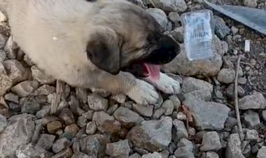 Polis, suçluyu yakalamak için değil, hayat kurtarmak için koştu