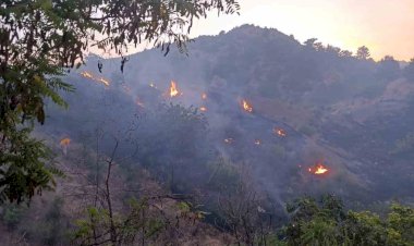 Kızılçam ormanında korkutan yangın
