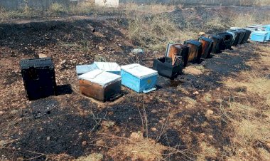 Otluk yangınında 45 arı kovanı zarar gördü