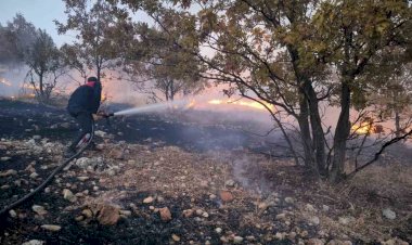 Anız yangını ormanlık alana sıçradı