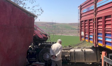 Adıyaman’da iki tır çarpıştı: 1 ölü, 1 yaralı