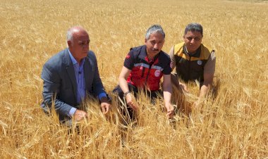 ‎Adıyaman’da ilk hububat hasadı arpa ile başladı