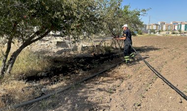 Ekili alan yanında çıkan yangın korkuttu