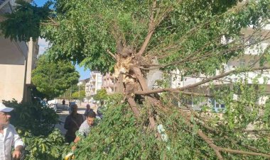 Adıyaman Gölbaşı’nda fırtına etkili oldu