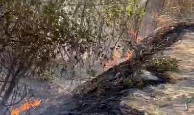 Kömür beldesinde korkutan yangın 