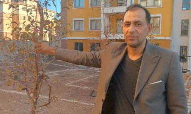 Geçen yıl kuruyan ağaçlar kasım ayında çiçek açtı