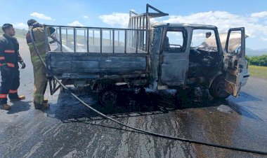 Mazot ve yağ yüklü kamyonet alevlere teslim oldu