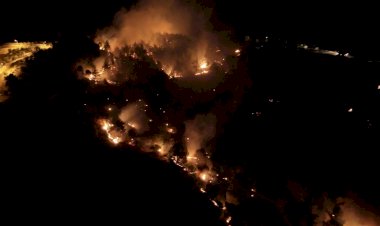 Adıyaman’daki orman yangınıyla ilgili bir şahıs tutuklandı
