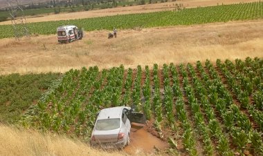 Malatya’da otomobil tütün tarlasına düştü: 3 yaralı