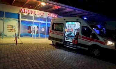 Hafif ticari araç yayaya çarptı: 1 ağır yaralı ‎