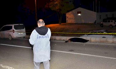 Otomobilin çarptığı yaya hayatını kaybetti