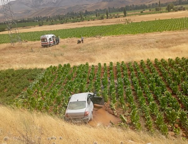 Malatya’da otomobil tütün tarlasına düştü: 3 yaralı