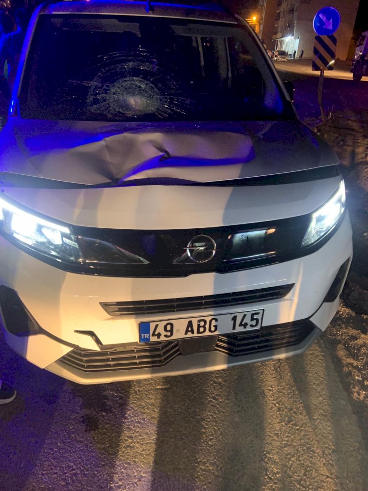 ‎Hafif ticari aracın çarptığı yaya hayatını kaybetti