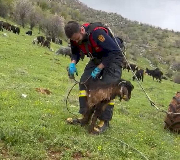 Kuyuya düşen keçiyi itfaiye kurtardı